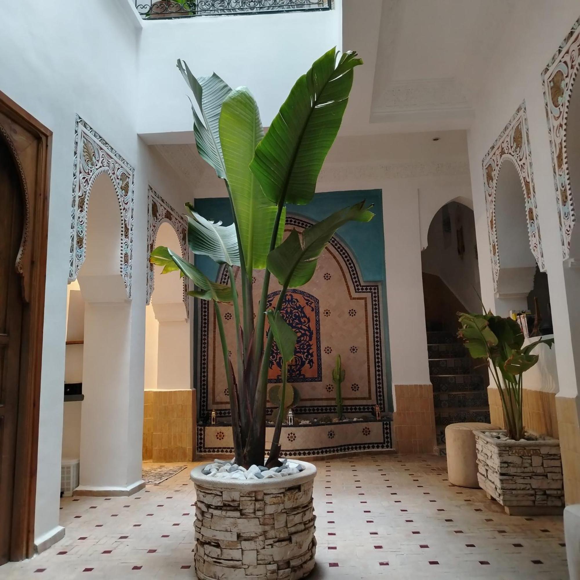 Riad & Spa Sous Le Soleil Chez Jerome Et Pamela Ch Marrakchi Marraquexe Exterior foto